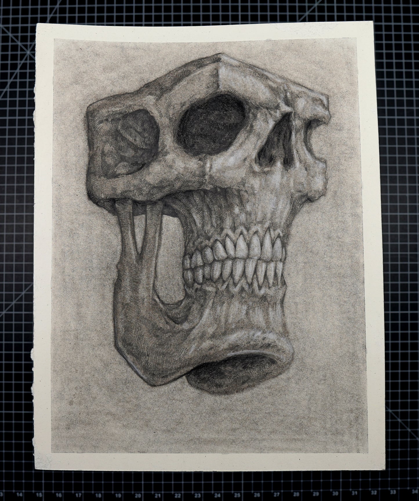 Original Skull Block Drawing